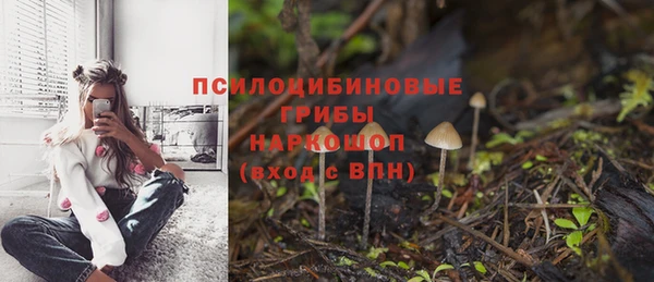 стаф Алексин