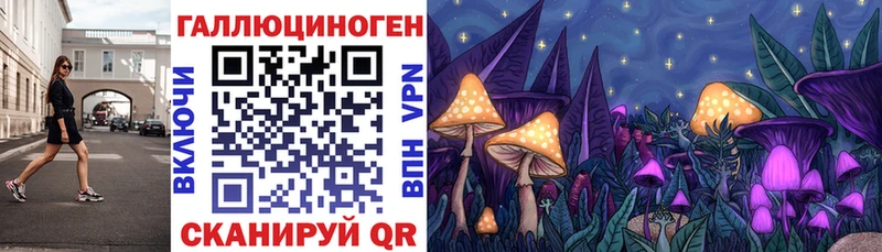 гидра   Курган  Галлюциногенные грибы MAGIC MUSHROOMS 